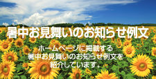 暑中お見舞いのお知らせ 例文